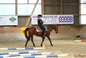 28-ApHC OT_335